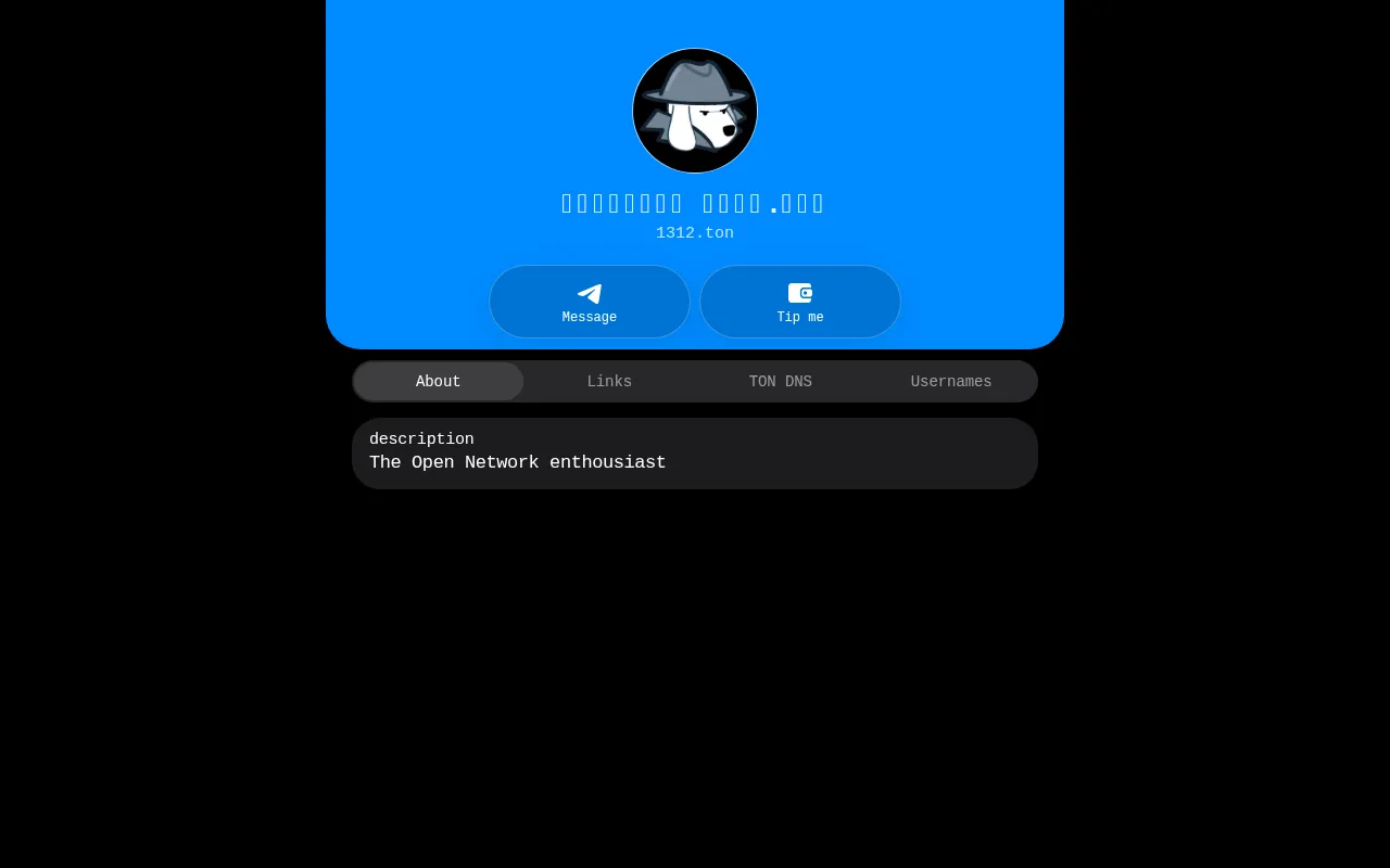 Screenshot of 1312.ton