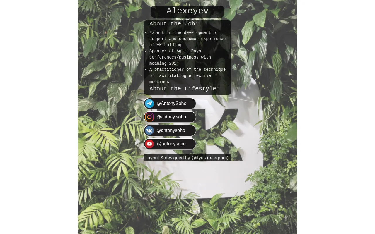 Screenshot of business-analyst.ton