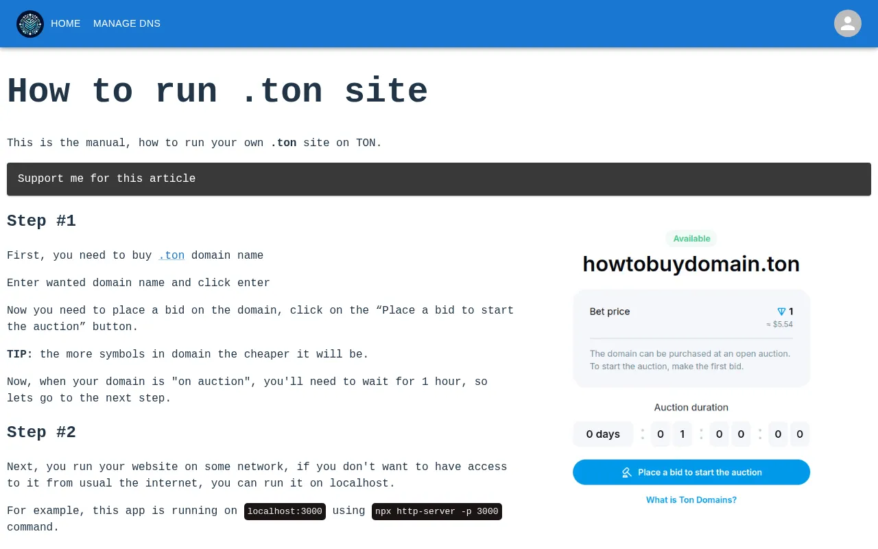Screenshot of howtorunsite.ton